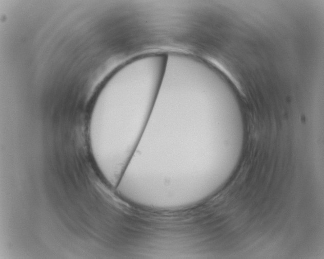 X0000077361460200611171911