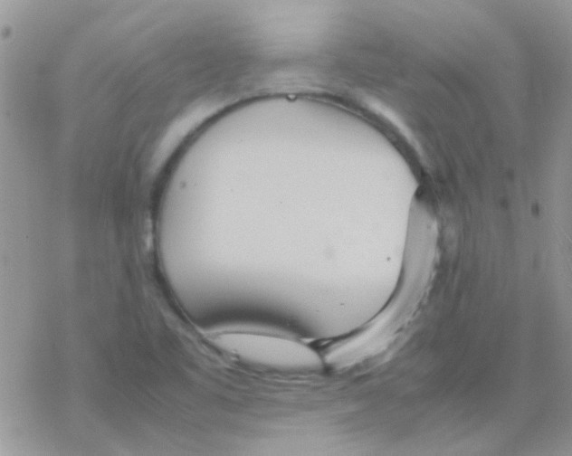 X0000077361461200611171911