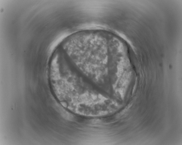 X0000077361463200611171911