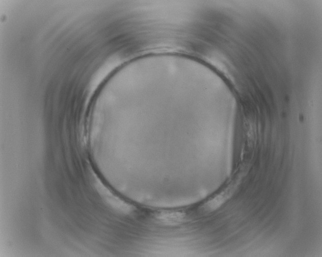 X0000077361466200611171911