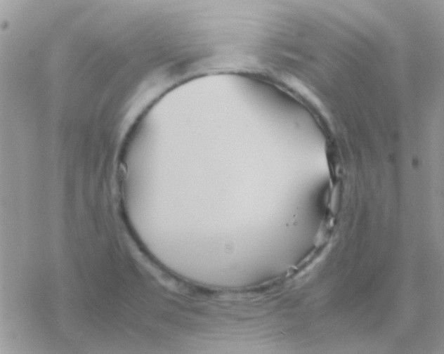 X0000077361469200611171911