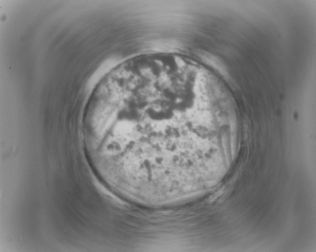 X0000077361471200611171911