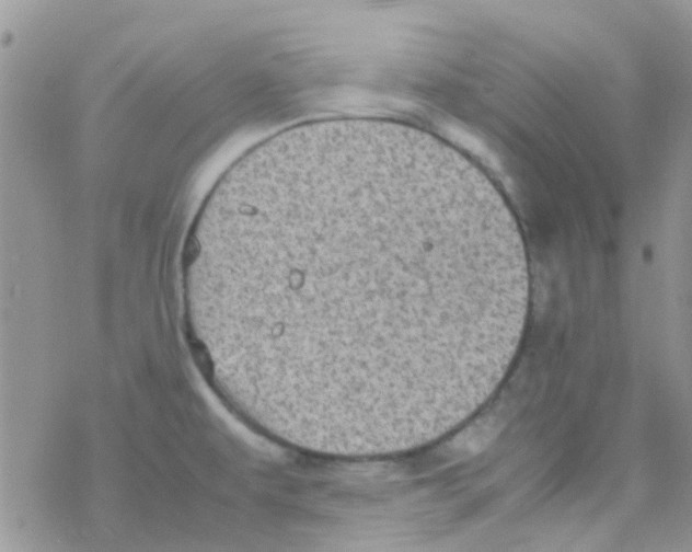 X0000077361479200611171911