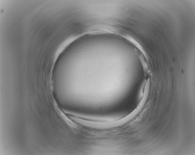 X0000077361485200611171911