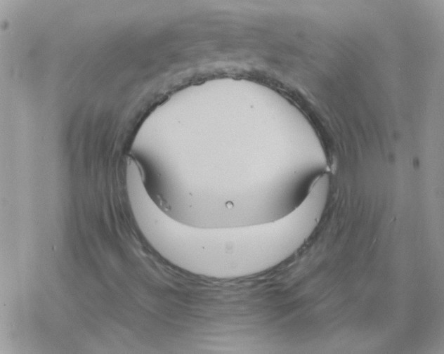 X0000077361492200611171910