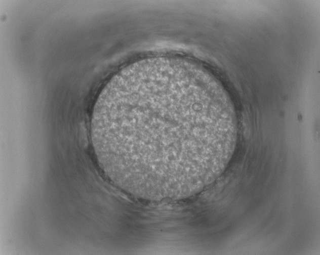 X0000077361493200611171910