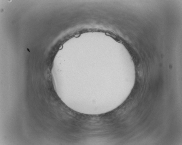 X0000077361495200611171910