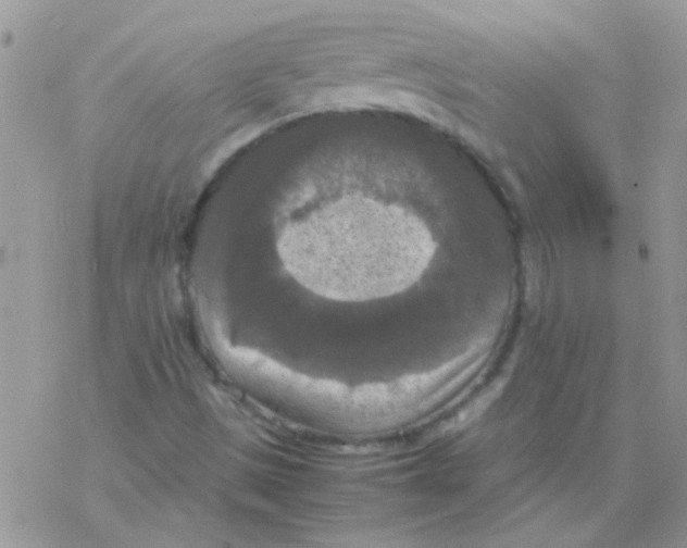 X0000077361497200611171910