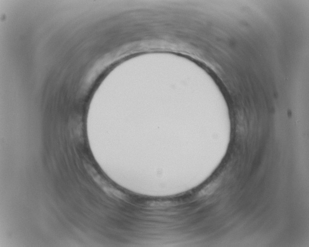 X0000077361499200611171910