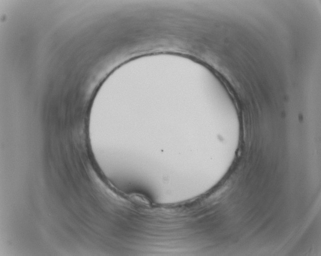 X0000077361500200611171910