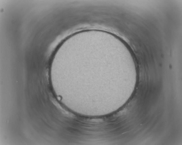 X0000077361503200611171910