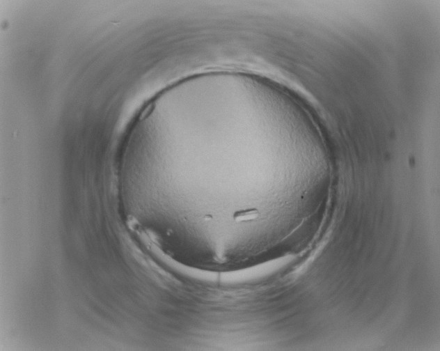 X0000077361506200611171910