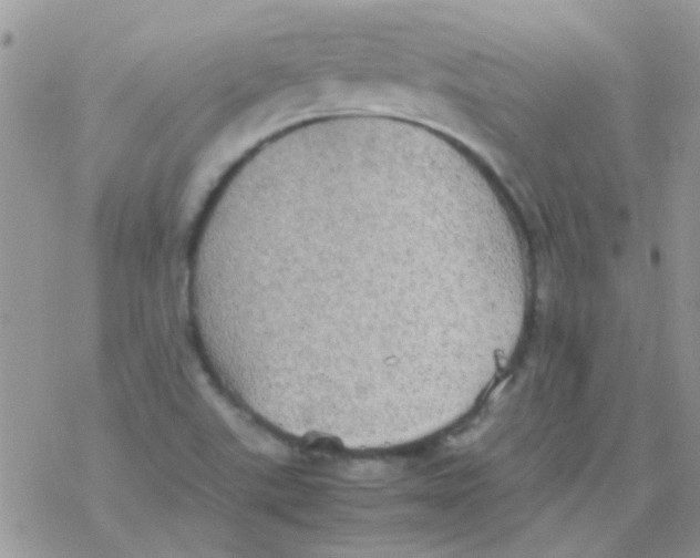 X0000077361507200611171910