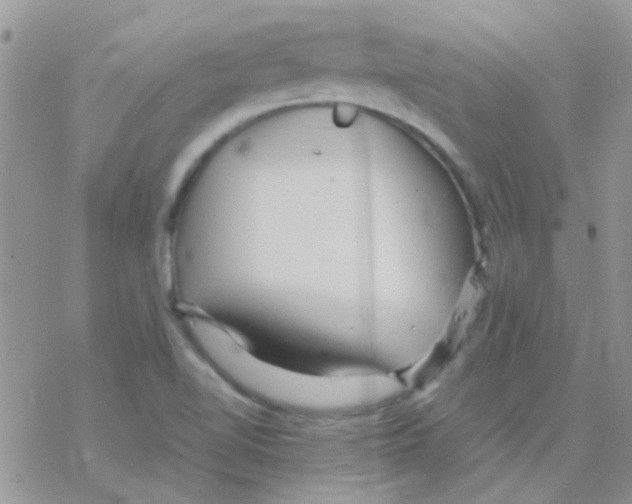 X0000077361510200611171910