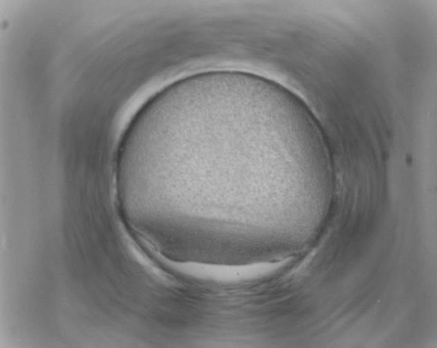 X0000077361511200611171910