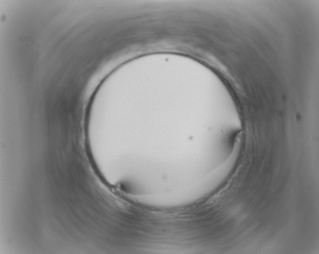 X0000077361512200611171910