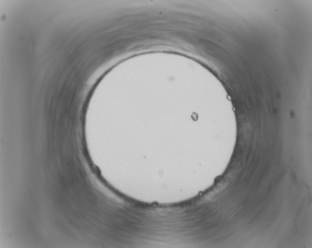 X0000077361518200611171910