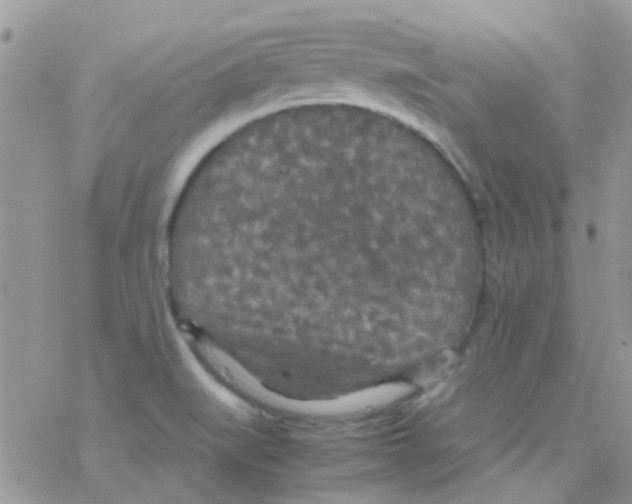 X0000077361519200611171910