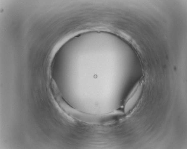 X0000077361520200611171910