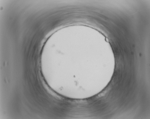 X0000077361526200611171910