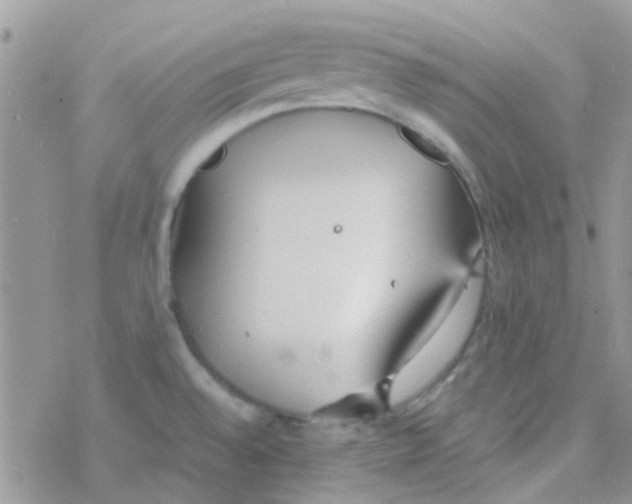 X0000077361528200611171910