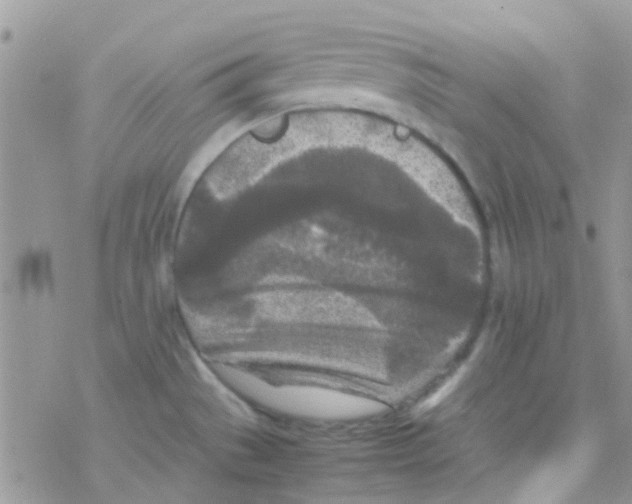 X0000077361529200611171910