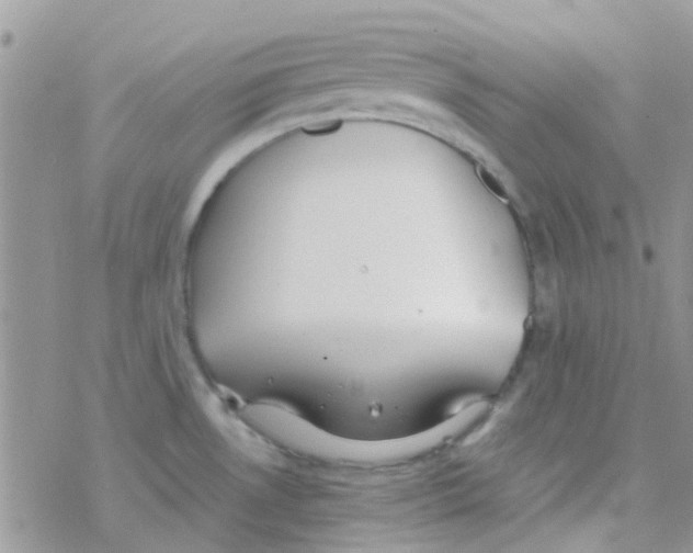 X0000077361530200611171910