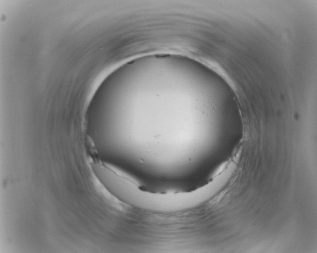 X0000077361532200611171910