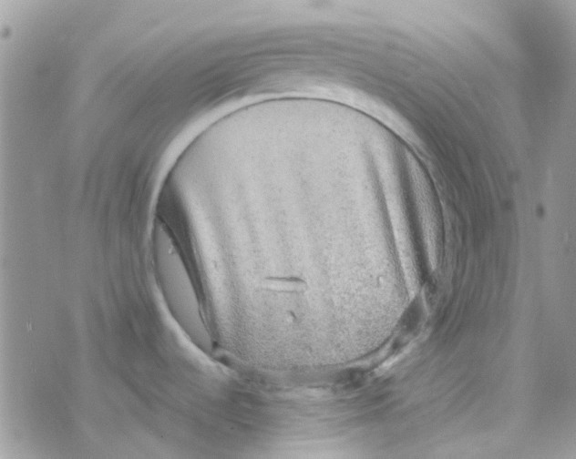 X0000077361536200611171910