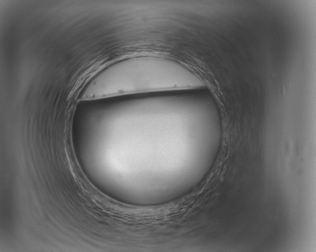 X0000077370001200610201026