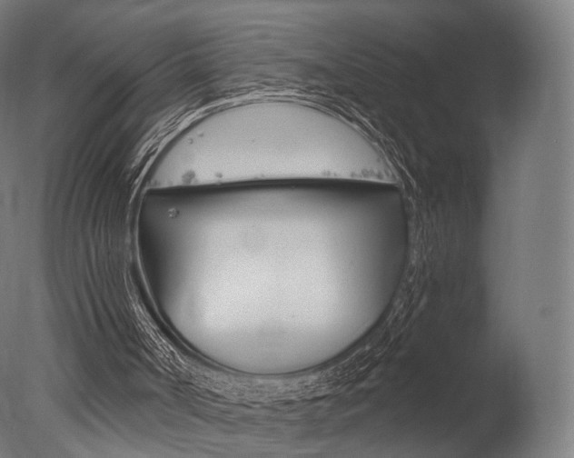 X0000077370002200610201026