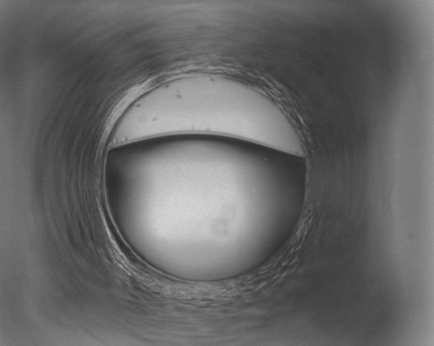 X0000077370003200610201026