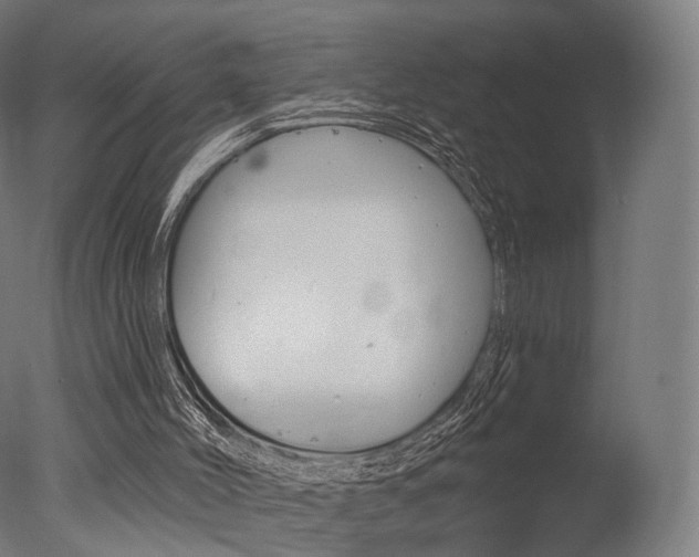 X0000077370004200610201026