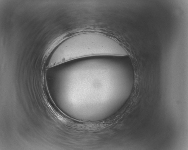 X0000077370005200610201026