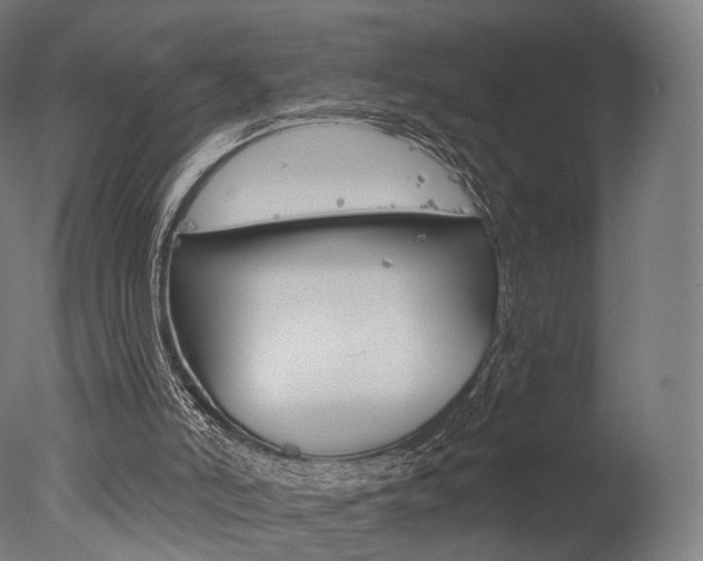 X0000077370006200610201026