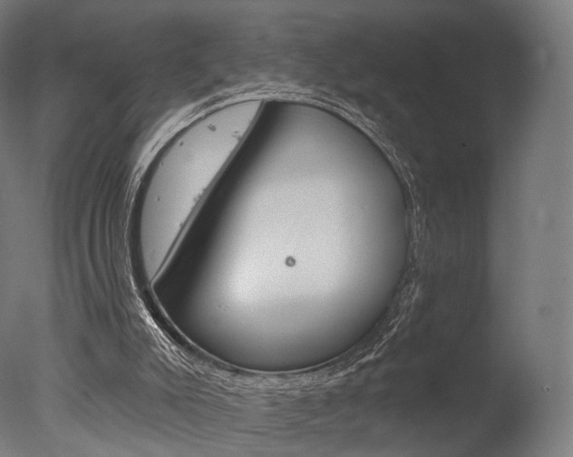 X0000077370007200610201026