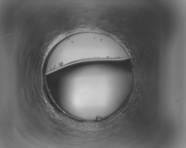 X0000077370008200610201026