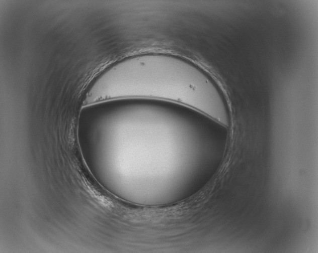 X0000077370009200610201026