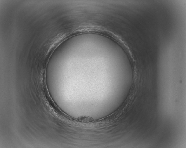 X0000077370010200610201026