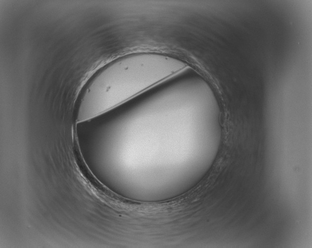 X0000077370011200610201026