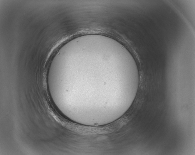 X0000077370012200610201026