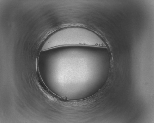 X0000077370013200610201026