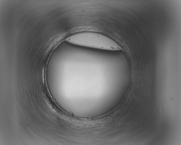 X0000077370014200610201026