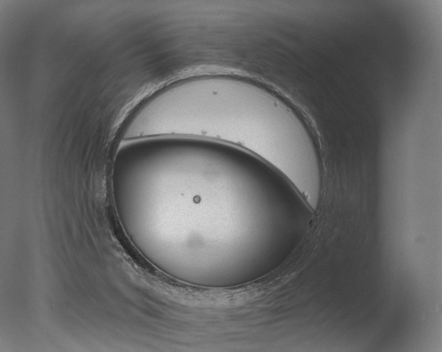 X0000077370015200610201026