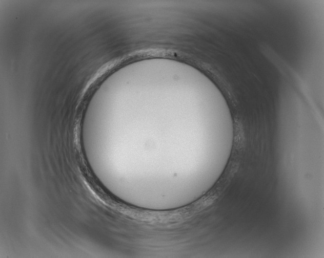 X0000077370016200610201026