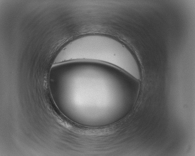 X0000077370017200610201026