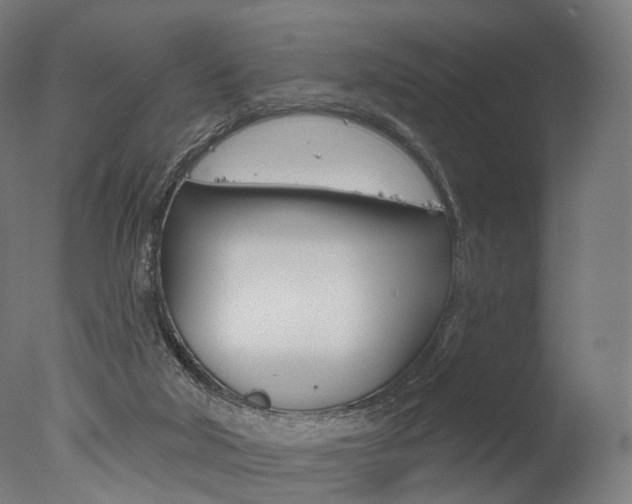 X0000077370018200610201026