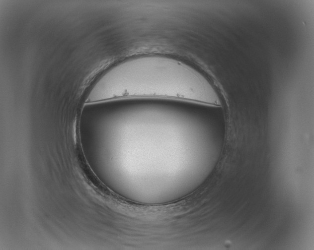 X0000077370019200610201026