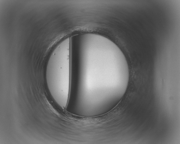 X0000077370020200610201026