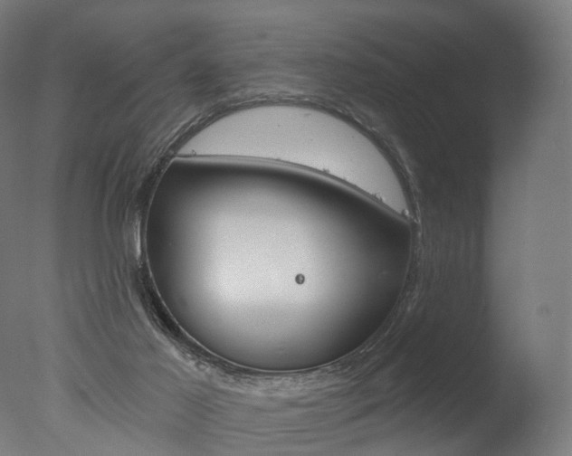 X0000077370021200610201026